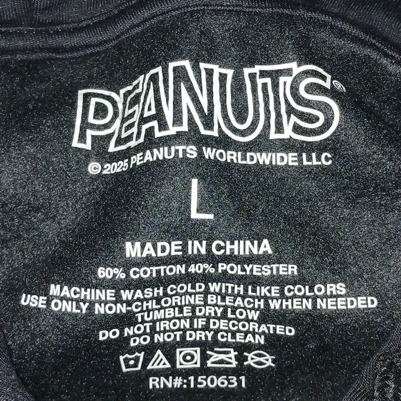 Peanuts Records Graphic Hoodie Unisex Men Women Fleece NWOT - Picture 8 of 12